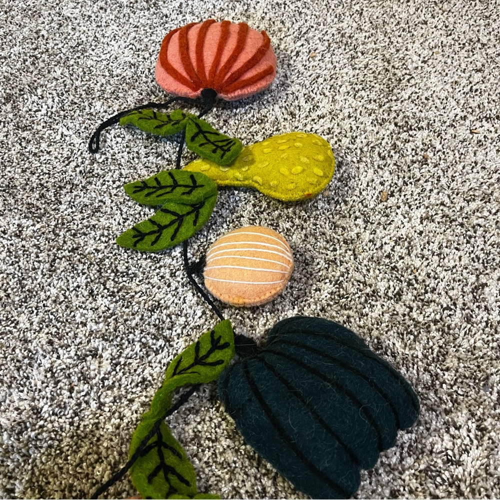 Company store felt fall pumpkin garland - Picture 3 of 4